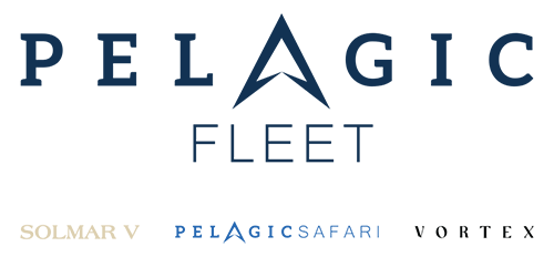 pelagic fleet